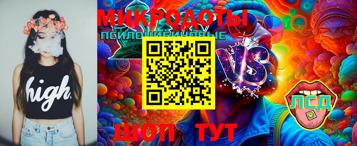 Псилоцибиновые грибы прущие грибы Ульяновск