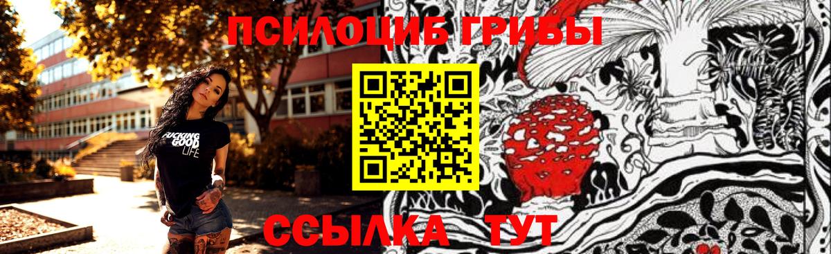 Ульяновск  Галлюциногенные грибы MAGIC MUSHROOMS  цена   Вход с VPN 